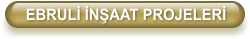 EBRUL� �N�AAT PROJELER�